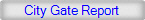 City Gate Report